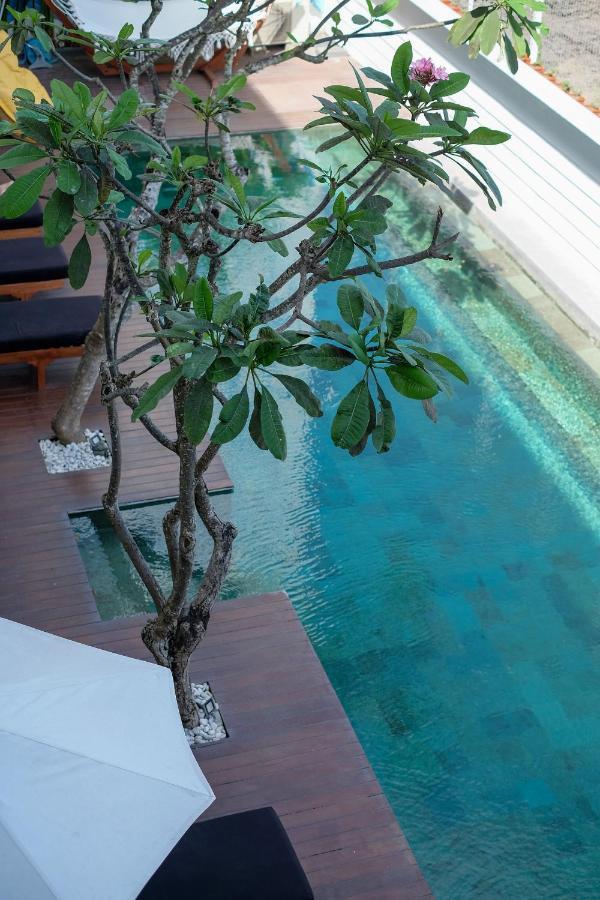 Dip & Doze Living Pansiyon Canggu Dış mekan fotoğraf