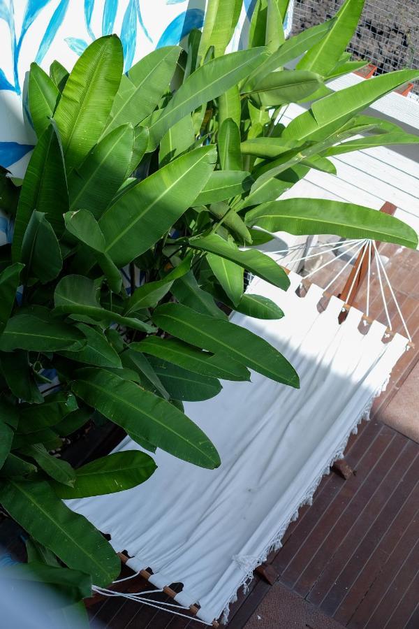 Dip & Doze Living Pansiyon Canggu Dış mekan fotoğraf