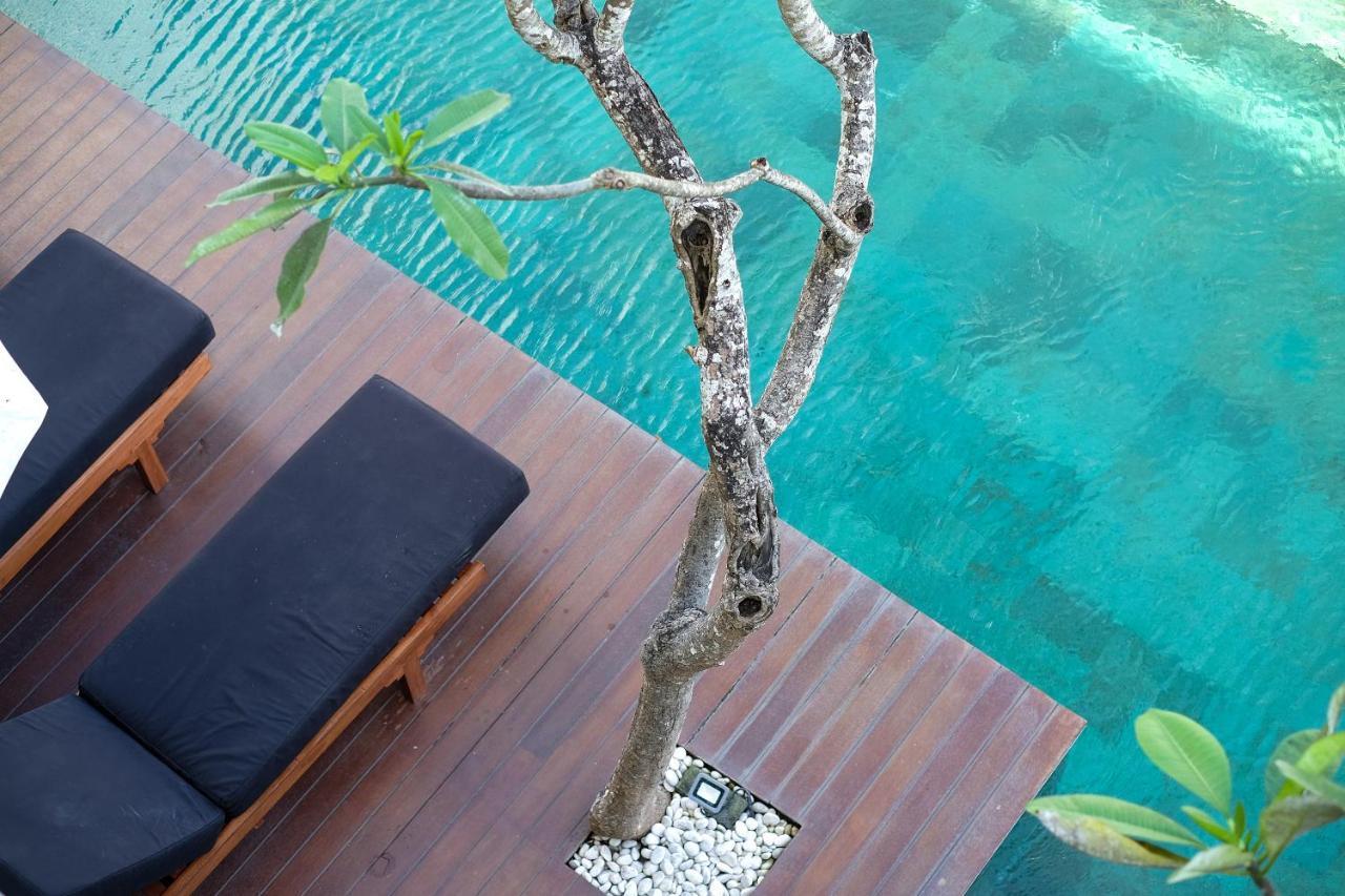 Dip & Doze Living Pansiyon Canggu Dış mekan fotoğraf